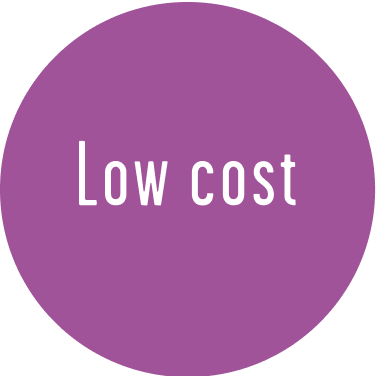 Low Cost